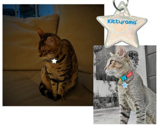Kittyrama Reflective Cat Collar Charms