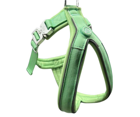 The 2.5cm BTactical™ Slip on Harness | Pastel Green