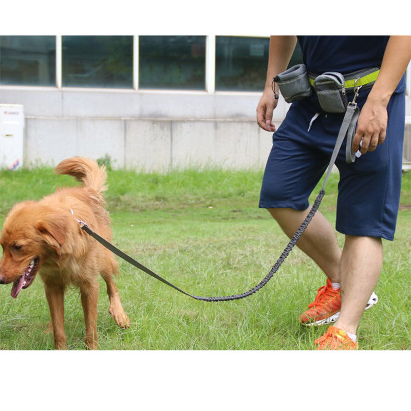 Hands Free Dog running Walking Set with Leash