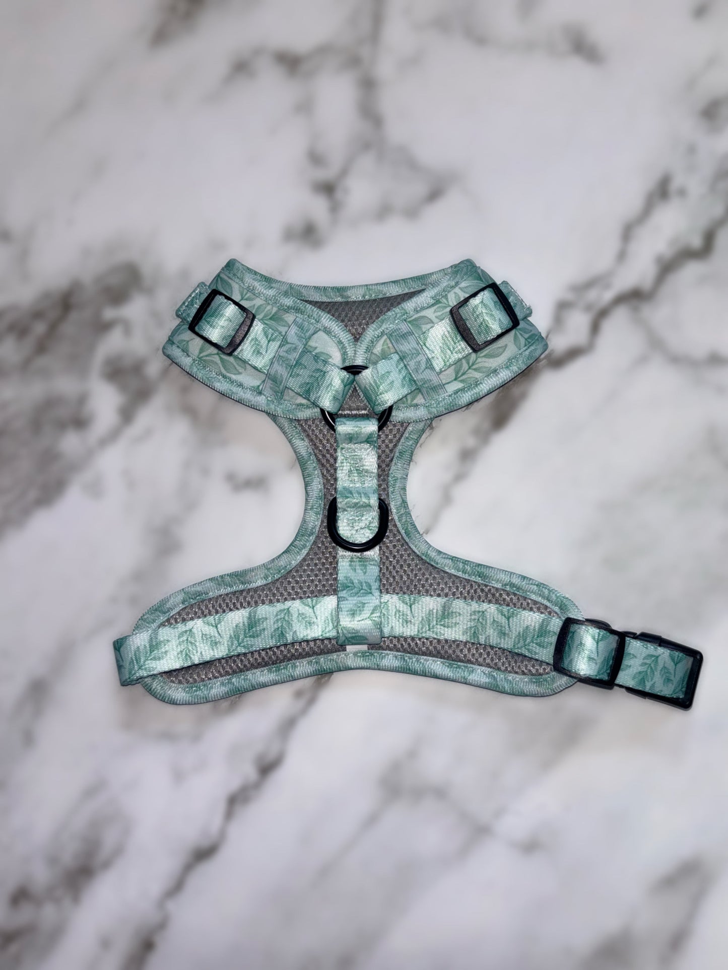 Willow Wanders Harness