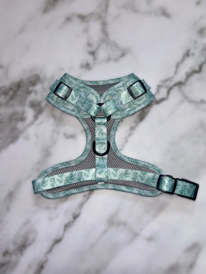 Willow Wanders Harness