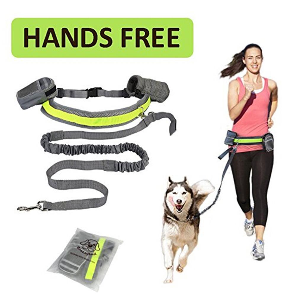 Hands Free Dog running Walking Set with Leash