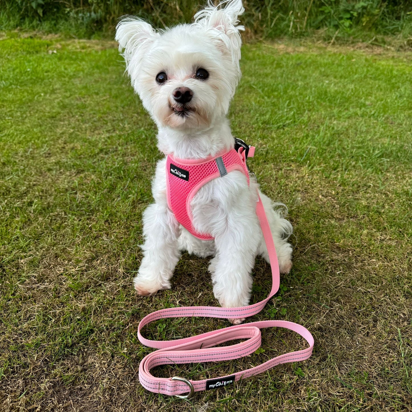 Tiny Trails Step In Air Mesh Puppy and Small Dog Harness Pink