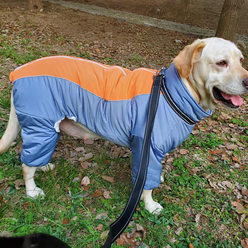 Winter/Autumn Retriever Dog coat
