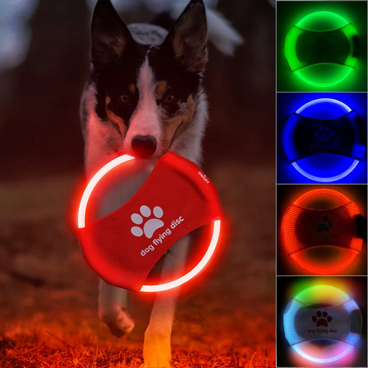 Pet flying Light Glowing LED rechargeable frisbee