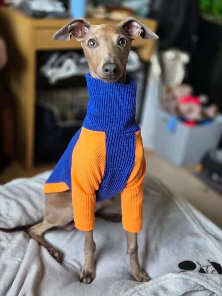 Ribbed Jersey T-Shirt - Orangina