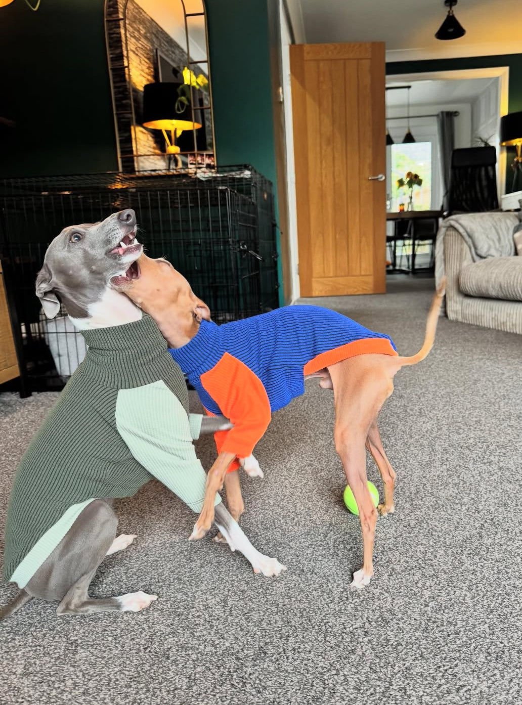 Ribbed Jersey T-Shirt - Orangina