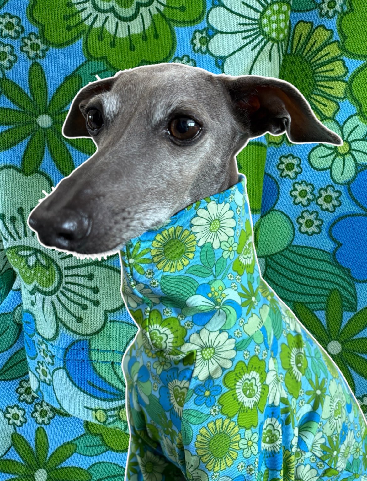 Jersey T-Shirt- Retro Floral - Green