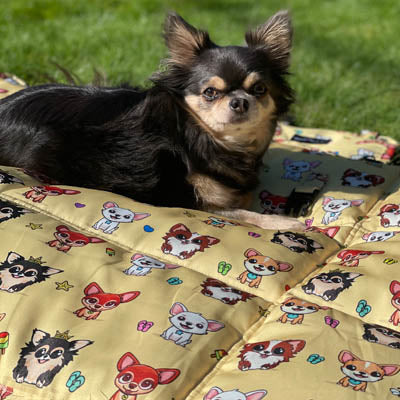 Roll and Go Signature Collection Golden Sands Padded Chihuahua Print Travel Mat by My Chi and Me