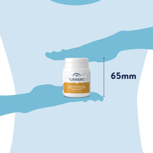 Dorwest Turmeric Tablets for Dogs & Cats – High-Strength Joint & Anti-Inflammatory Support