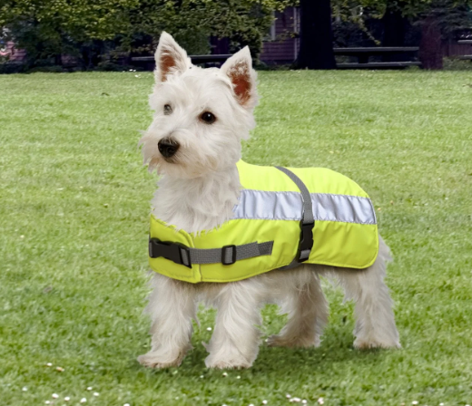 Flecta Hi-Vis Dog Jacket