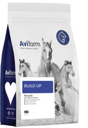 Build up Equine Muscle Build, Repair & Recovery with added Stamina for Horses