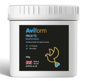 PROLYTE Probiotic Post Race Restorative Supplement for Racing Pigeons