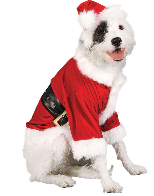 Santa Claus Christmas Pet Dog Costume