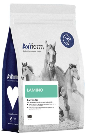 LAMINO for Horses