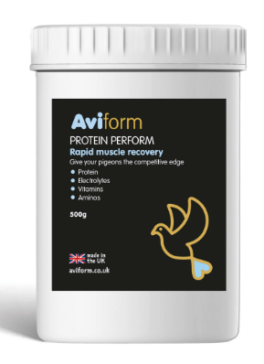 PROTEIN PERFORM Protein for Racing Pigeons