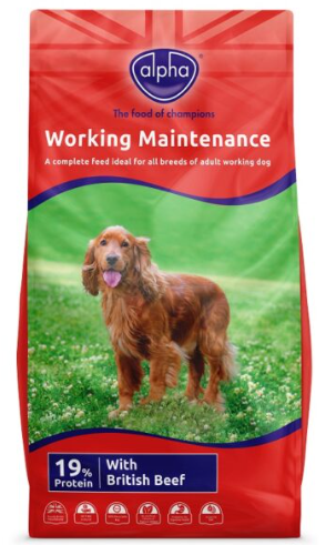 Alpha Maintenance Worker Dog 15kg