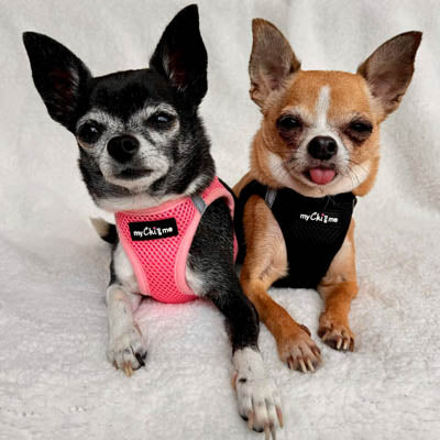 Tiny Trails Step In Air Mesh Puppy and Small Dog Harness Pink