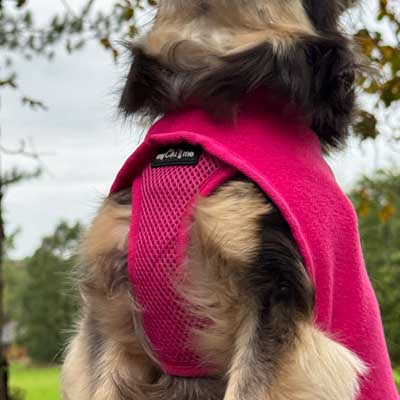 Tiny Toastie Water Repellent Fleece Dog Coat by My Chi and Me Hot Pink