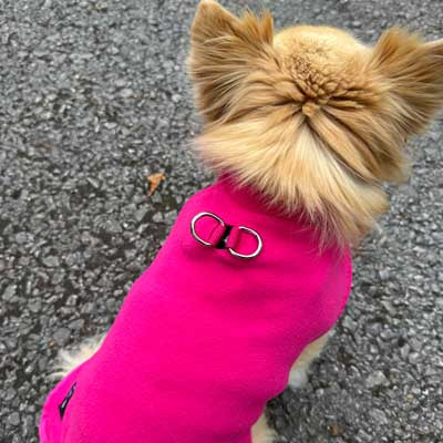 Tiny Toastie Water Repellent Fleece Dog Coat by My Chi and Me Hot Pink