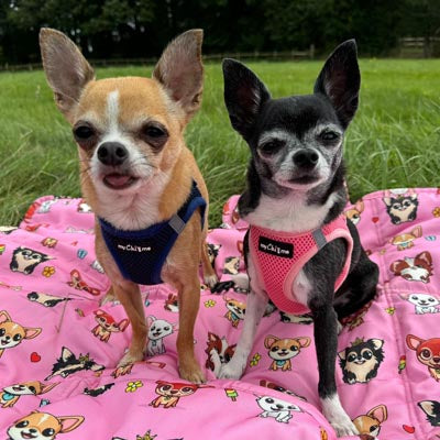 Tiny Trails Step In Air Mesh Puppy and Small Dog Harness Pink