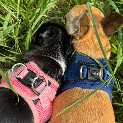Tiny Trails Step In Air Mesh Puppy and Small Dog Harness Pink