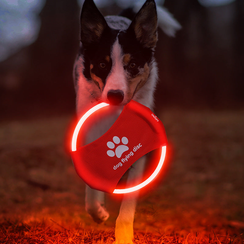 Pet flying Light Glowing LED rechargeable frisbee