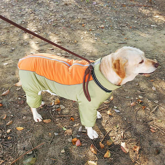 Winter/Autumn Retriever Dog coat