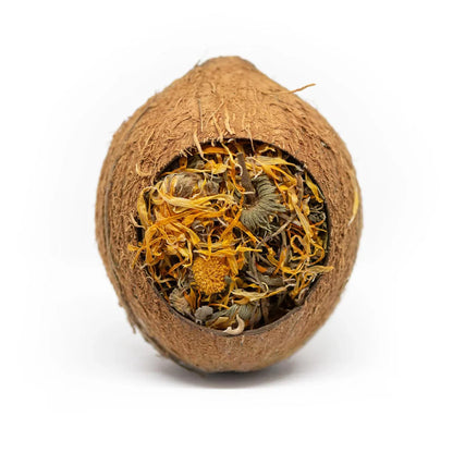 Natural Nibbles Forage Filled Coconut For Small Animals
