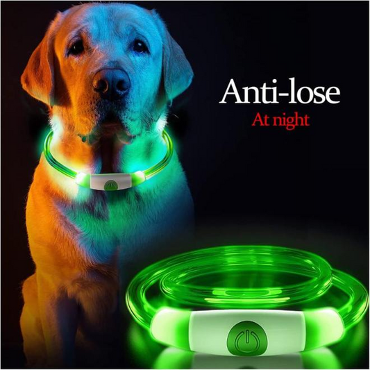 Dog Silicone design rechargeable Luminous Collar LED