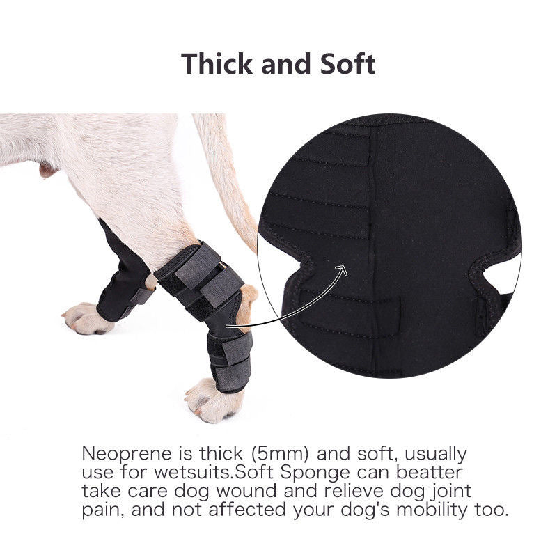 Dog Surgery Recovery Protects Joint Pet Knee Protector