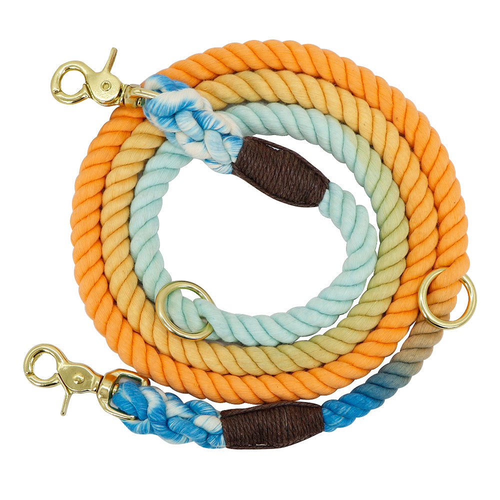 Gradient Pet Walking Dog Collars and Leads