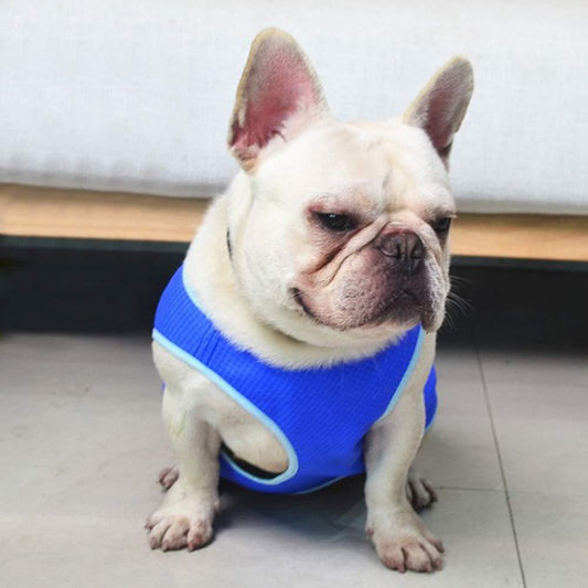 Cooling Pet Dog Jacket or Vest