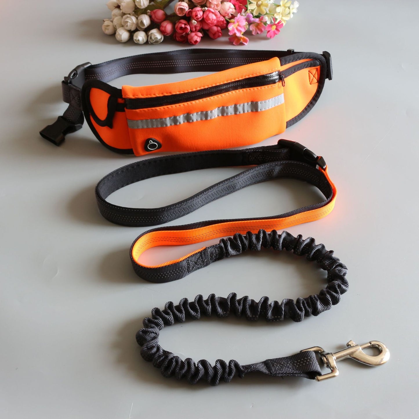 Dog Sport large Running traction rope Belt