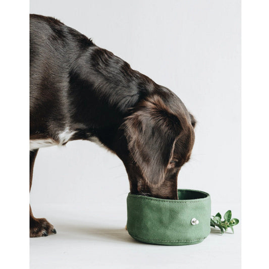 Folding Canvas Dog Bowl