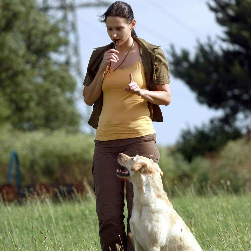 2pc Dog Training WHISTLE