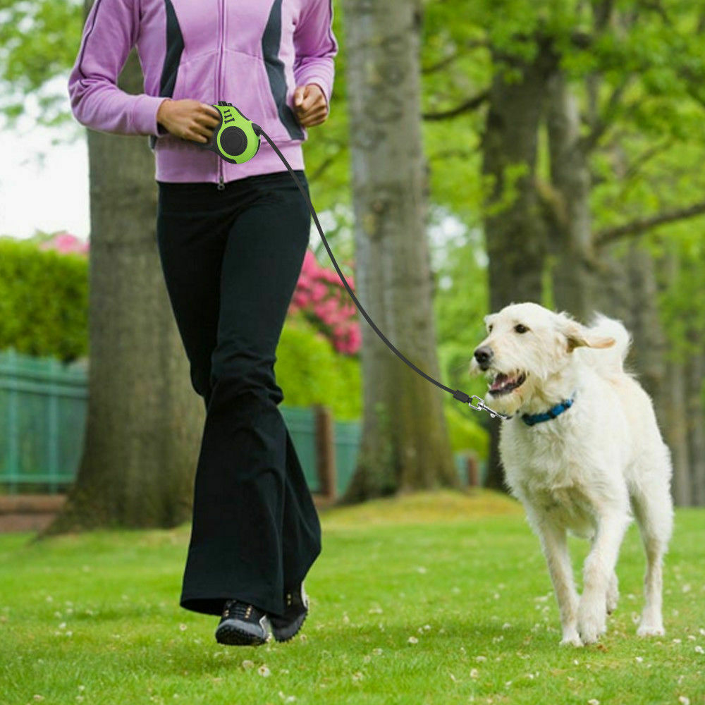 Vibrant Retractable Pet Dog Lead