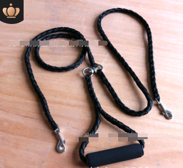 Pet Dog Traction Lead for Two Dogs