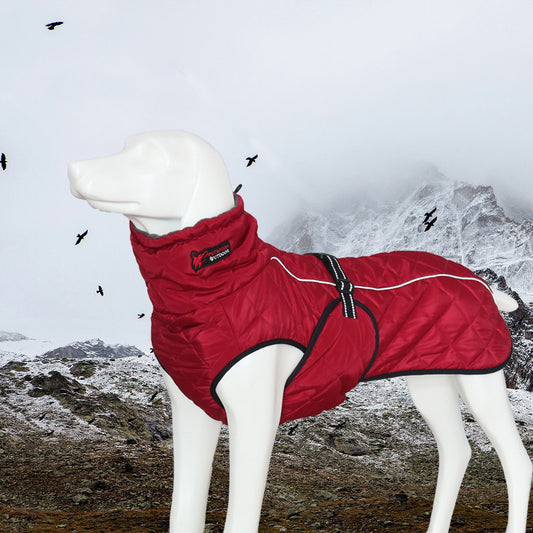 Arctic Dog Jacket