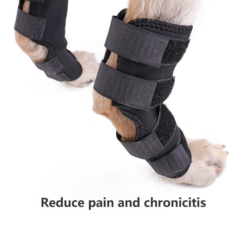 Dog Surgery Recovery Protects Joint Pet Knee Protector