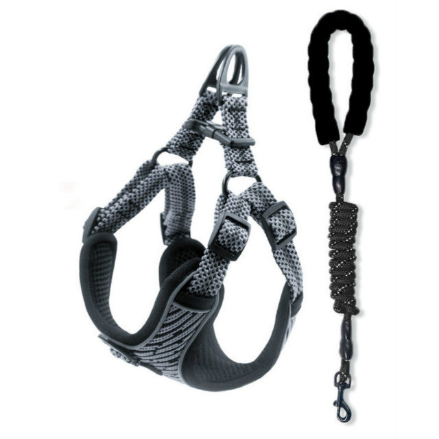 Sprint Pet Dog Harness and Lead Sets