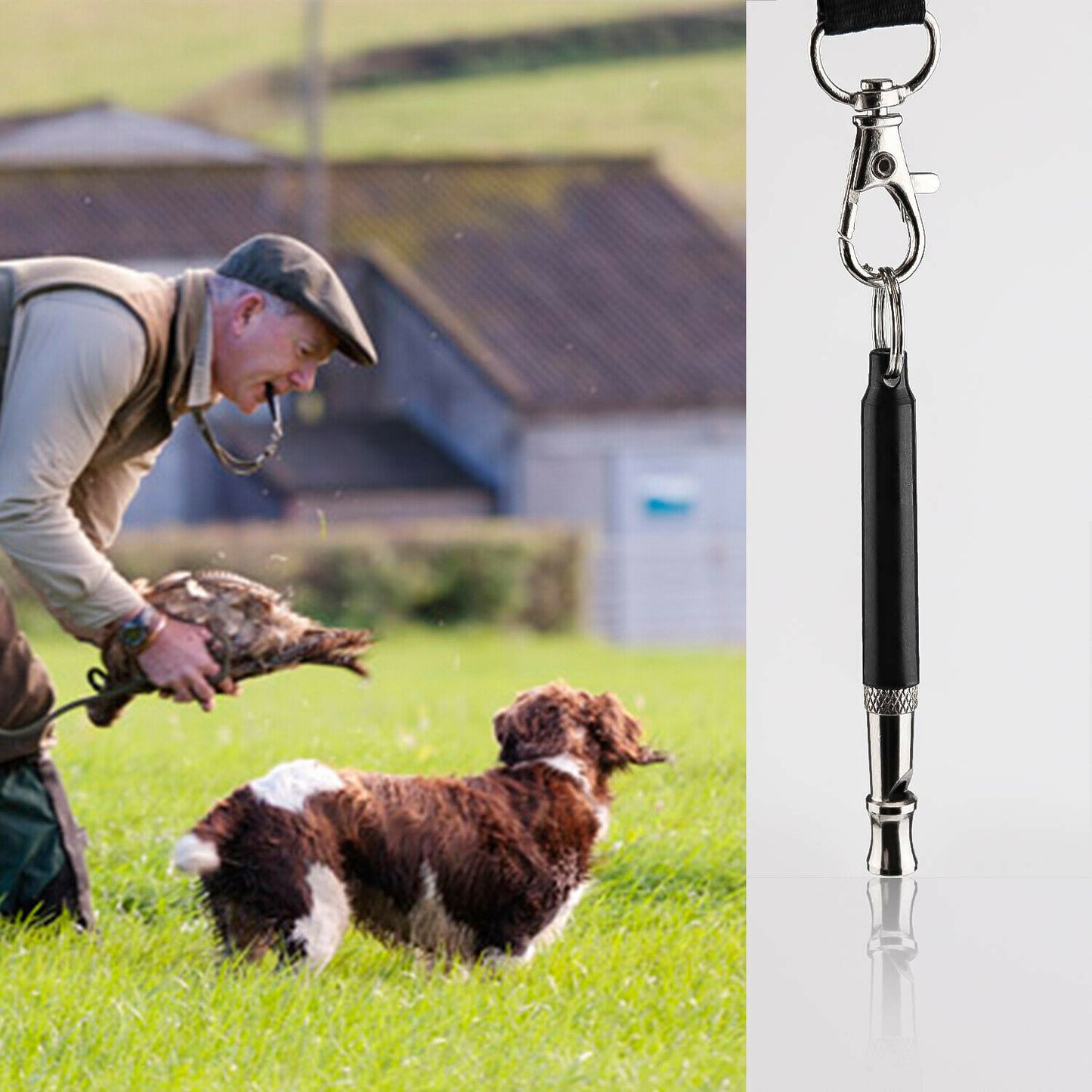 2pc Dog Training WHISTLE