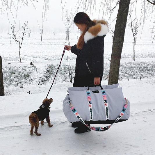 Dog Pet Car Travel Seat