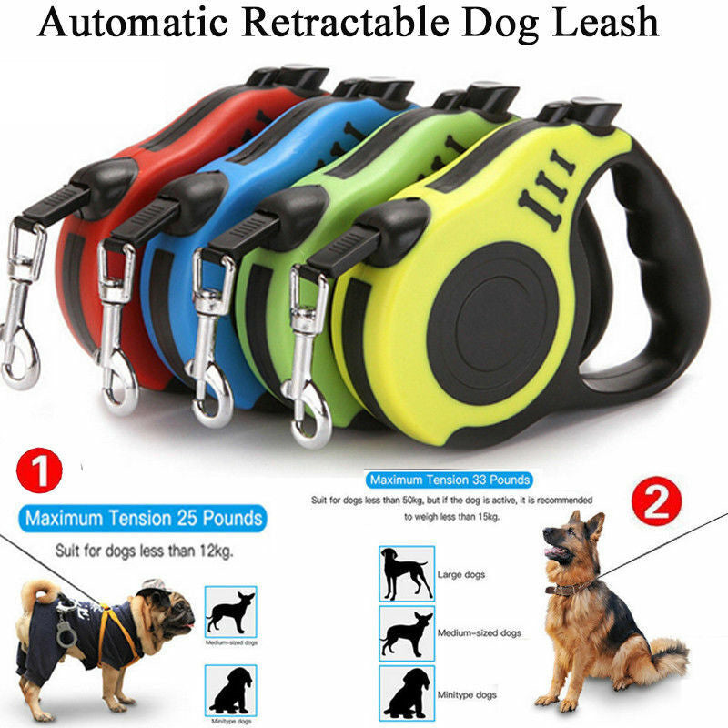 Vibrant Retractable Pet Dog Lead