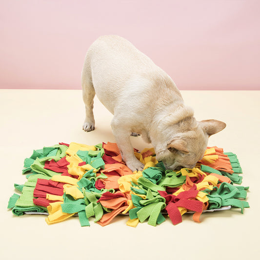 Rainbow Pet Dog Sniffing Mat