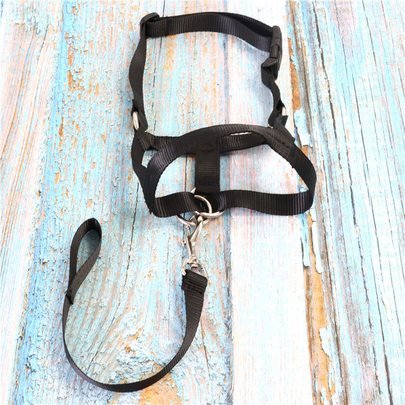 Adjustable Control Dog Pet Harness