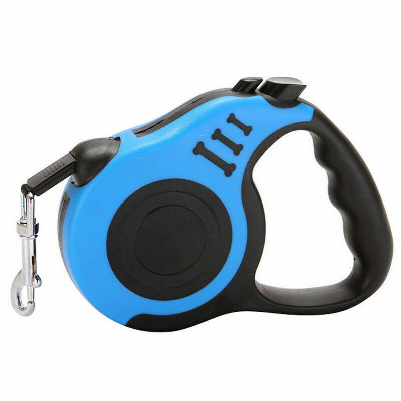 Vibrant Retractable Pet Dog Lead