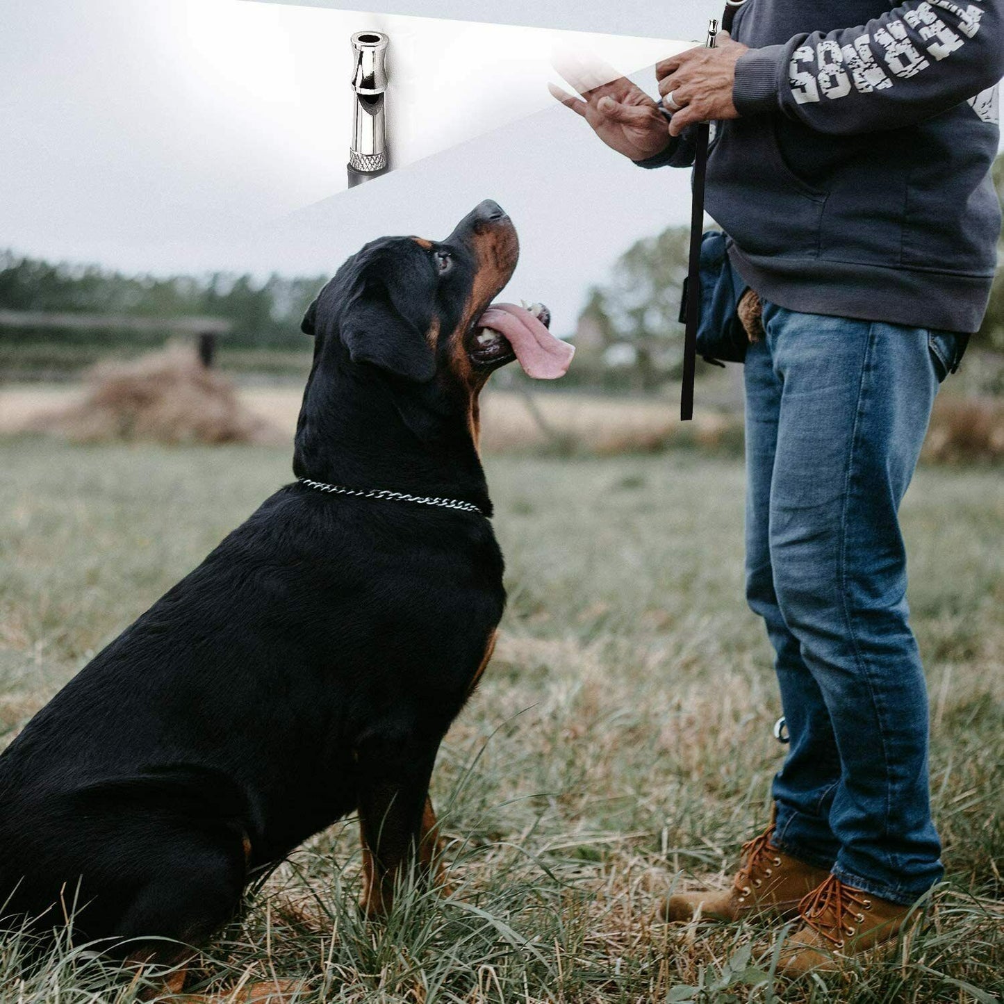 2pc Dog Training WHISTLE