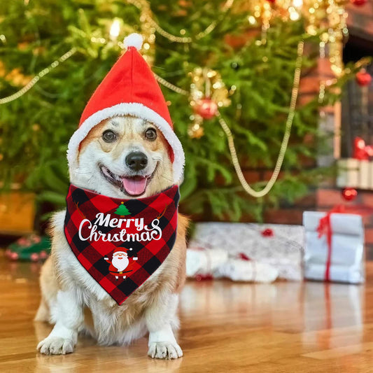 Christmas Dog Bandana Set