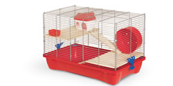 large_HAMSTER-11W.jpg